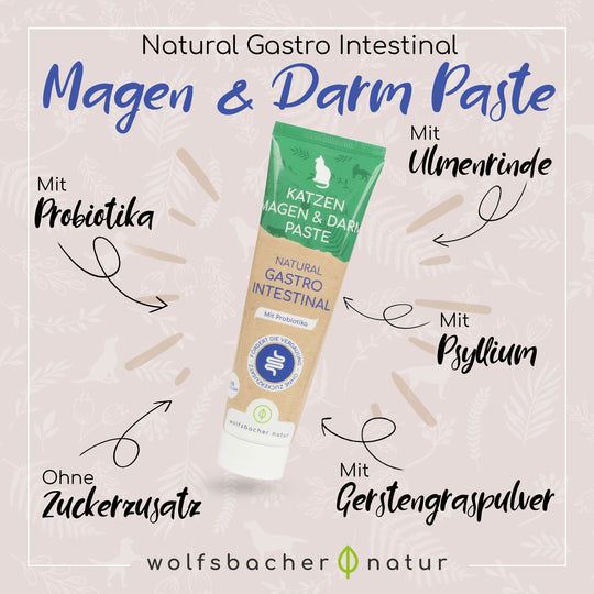 Wolfsbacher Natur Magen-Darm Paste 100 g