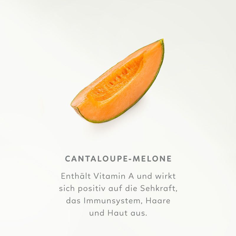 Melonenscheibe auf weißem Hintergrund. Text: Cantaloupe-Melone.