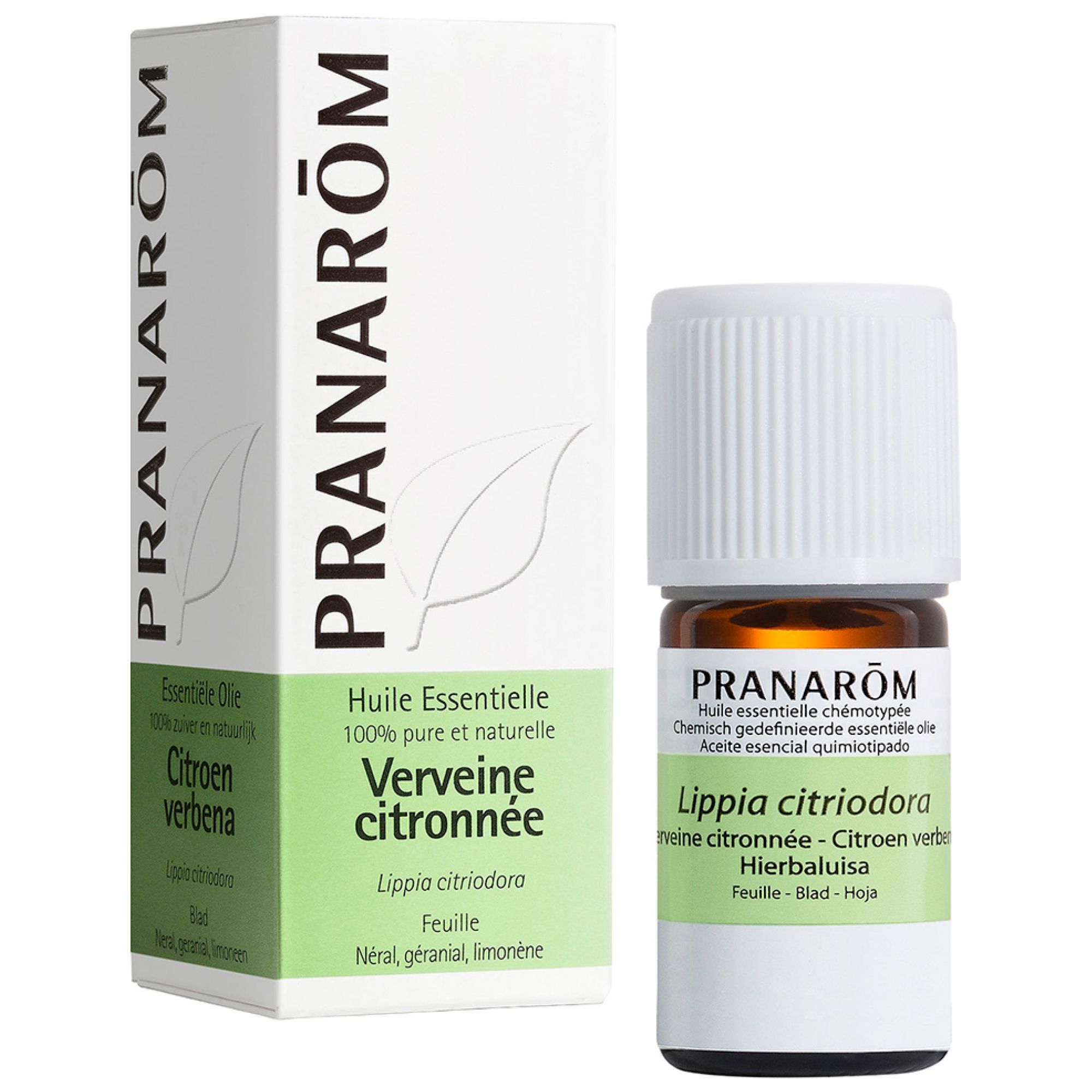 Pranarom OE Verbena Odor 5ML 3x8x3 cm Flüssigkeit
