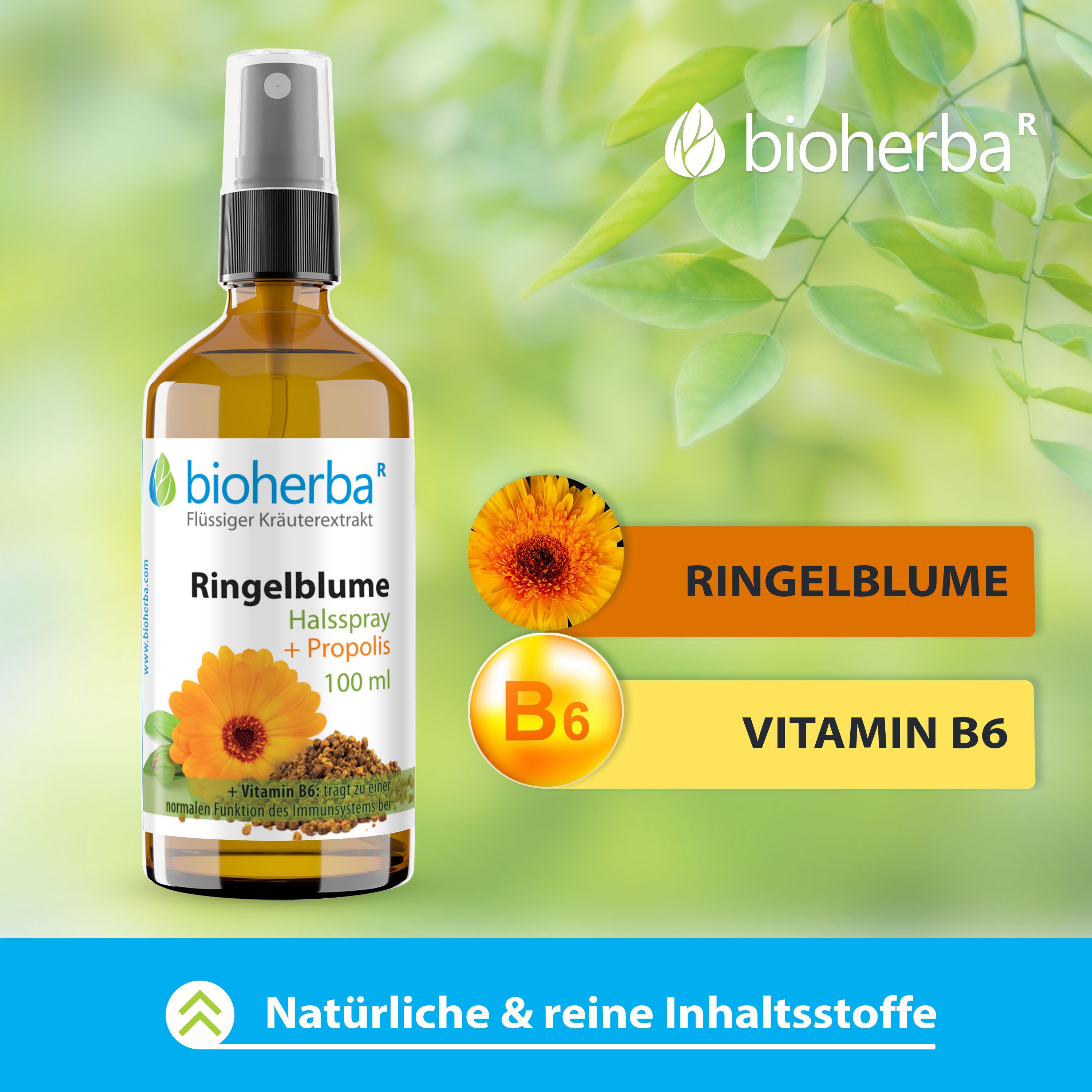 Bioherba Halsspray Ringelblume Extrakt mit Propolis 100 ml