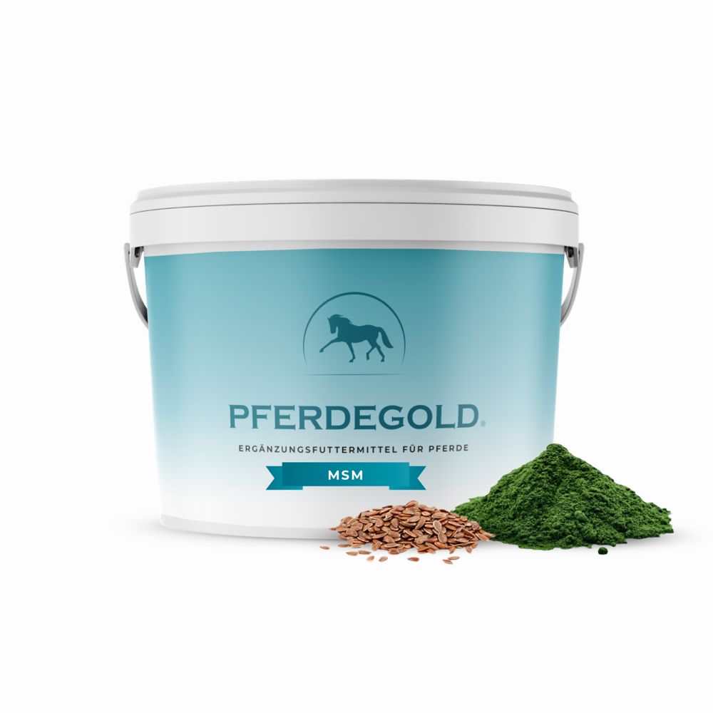 Pferdegold MSM