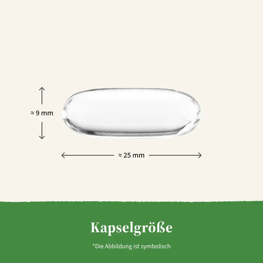 Einzelne Kapsel, transparent, oval. Maße: ca. 25 mm lang, 9 mm breit. Text: Kapselgröße.