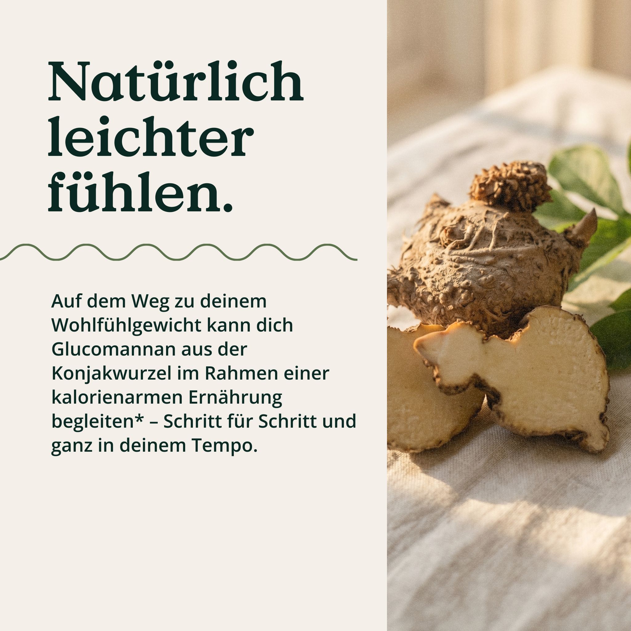 Konjakwurzel und geschnittene Teile daneben, mit Text über Glucomannan für das Wohlfühlgewicht.