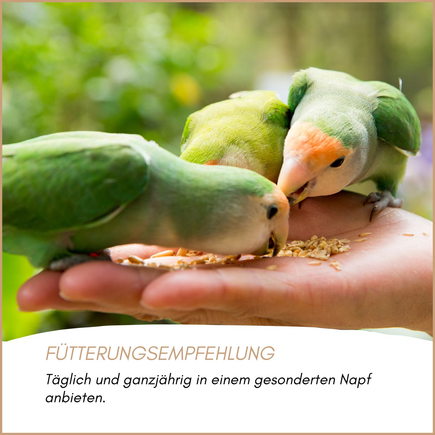 Supravit Vogelgrit Grit für Vögel & Geflügel – Mineralgrit mit Calcium - Verdauungshilfe