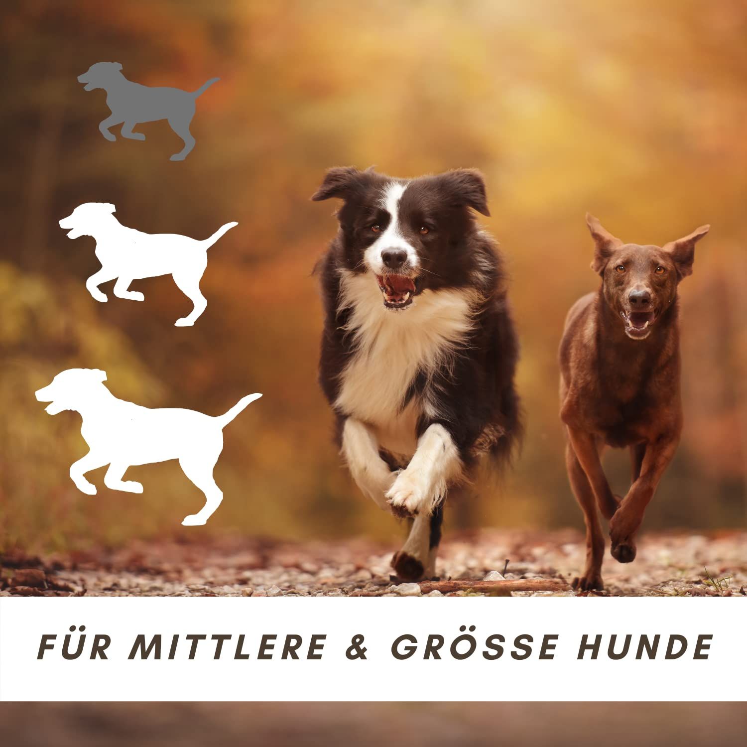 Supravit Rinderkopfhaut für Hunde |Rinderhaut gezogen und geschnitten | Kausnack