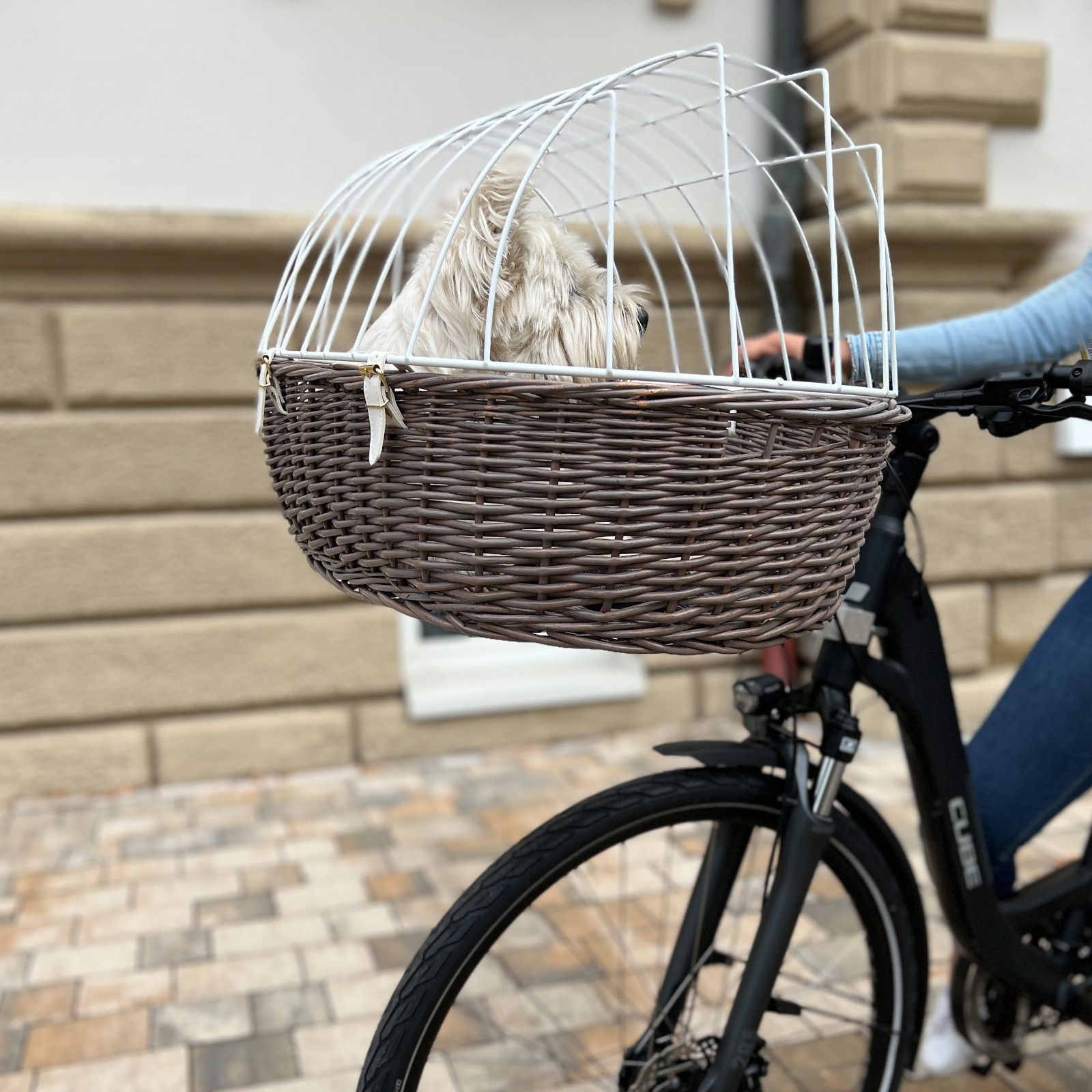 Aumüller Fahrrad-Tierkorb mit Halter - Steuerkopfmontage vorne