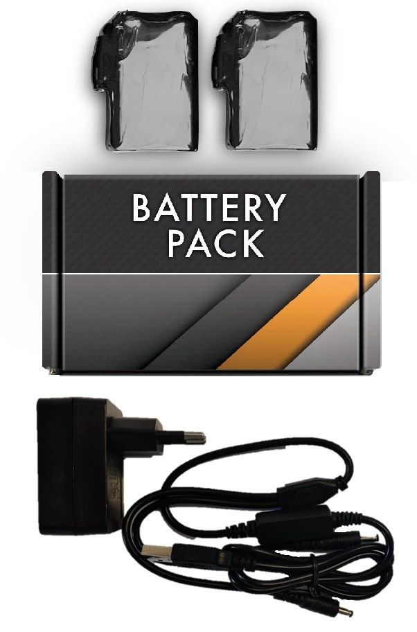 Batteriepack-Box mit zwei Batterien, Netzteil und Ladekabel. Schwarze und orangefarbene Akzente. Auf weißem Hintergrund.