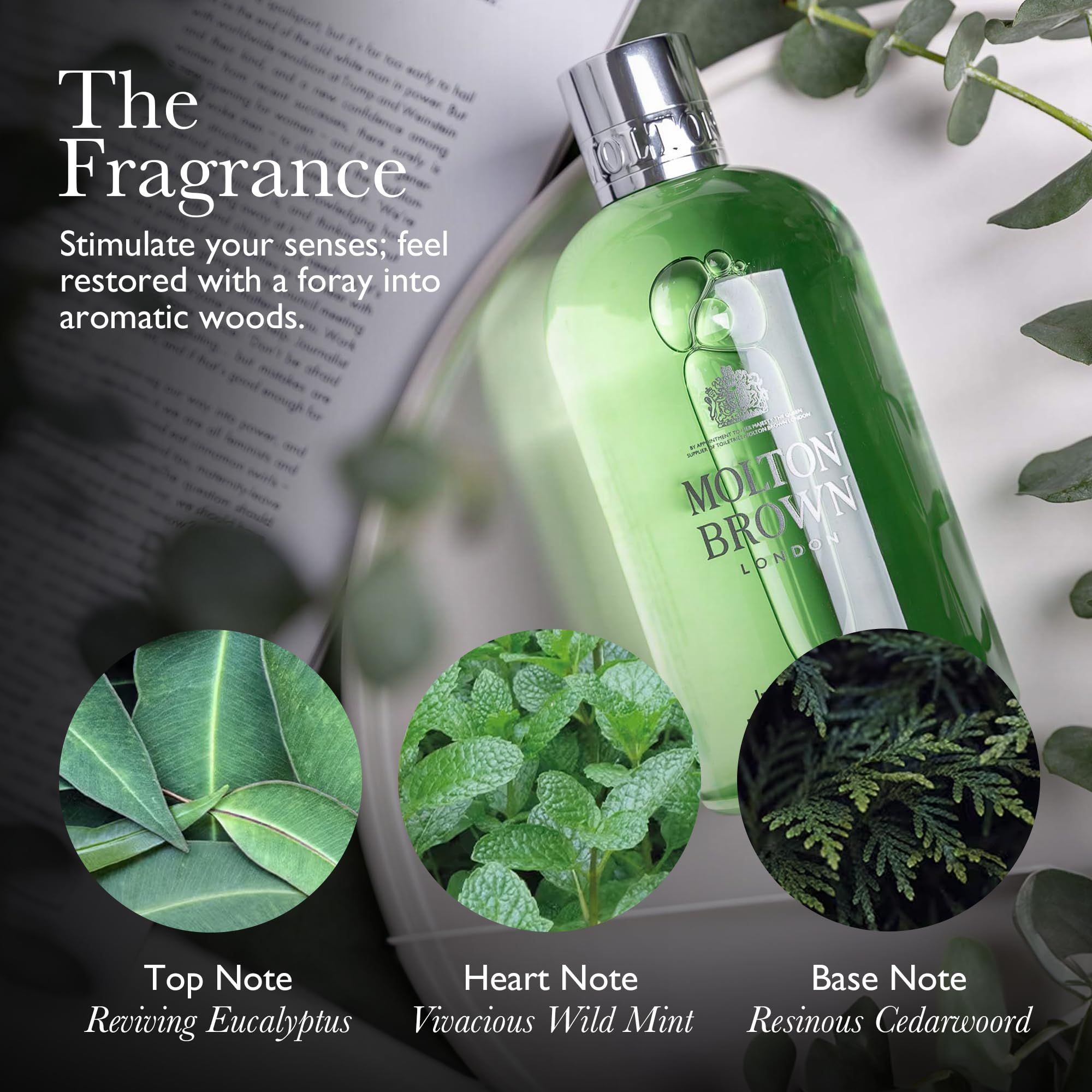 Produktflasche, Blätter und Kräuter. Text: Top Note, Herz Note, Base Note. Markenname Molton Brown.