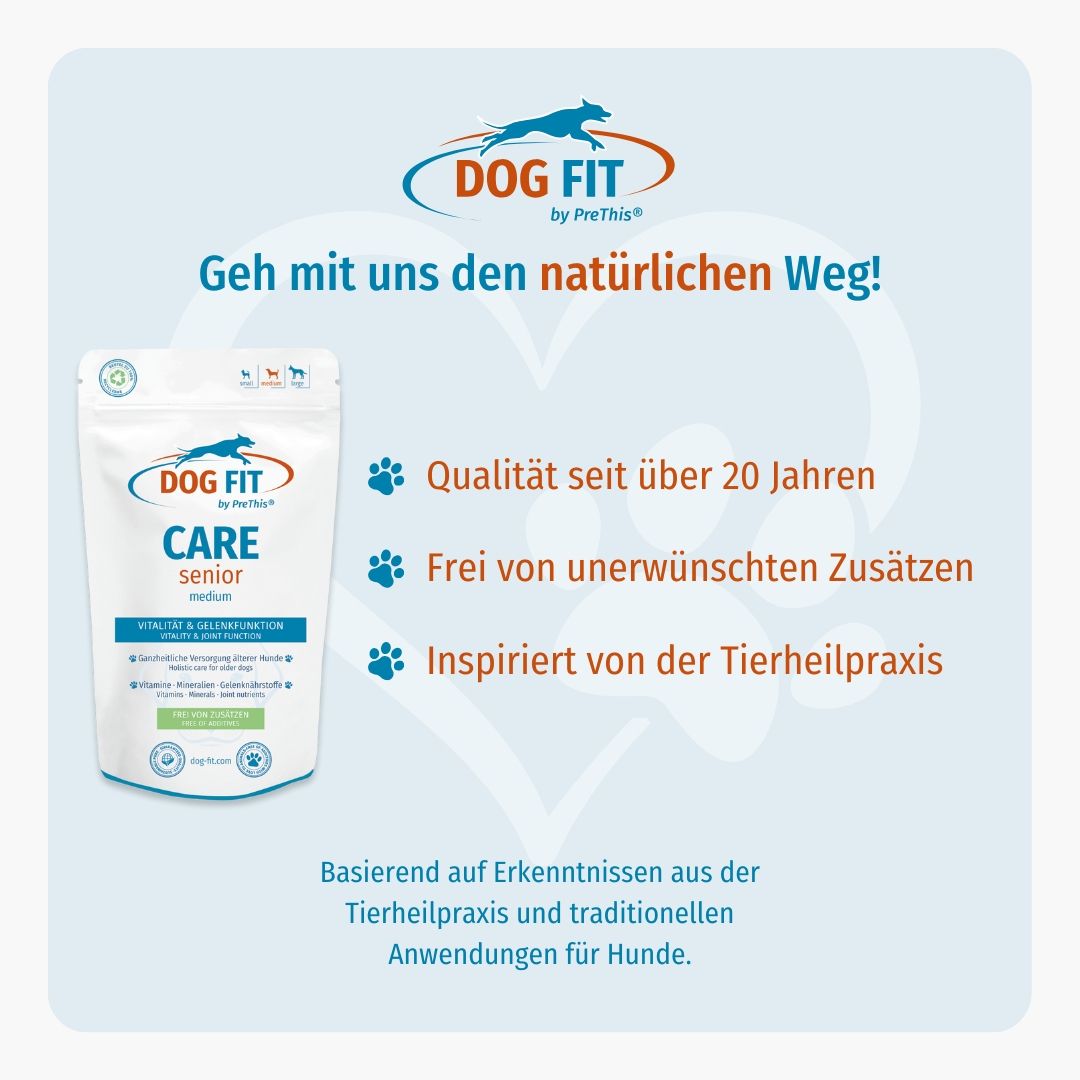 Blauer Hintergrund mit "DOG FIT CARE senior"-Logo und Produktverpackung. Text: Qualität seit über 20 Jahren, frei von Zusätzen, inspiriert von Tierheilpraxis.