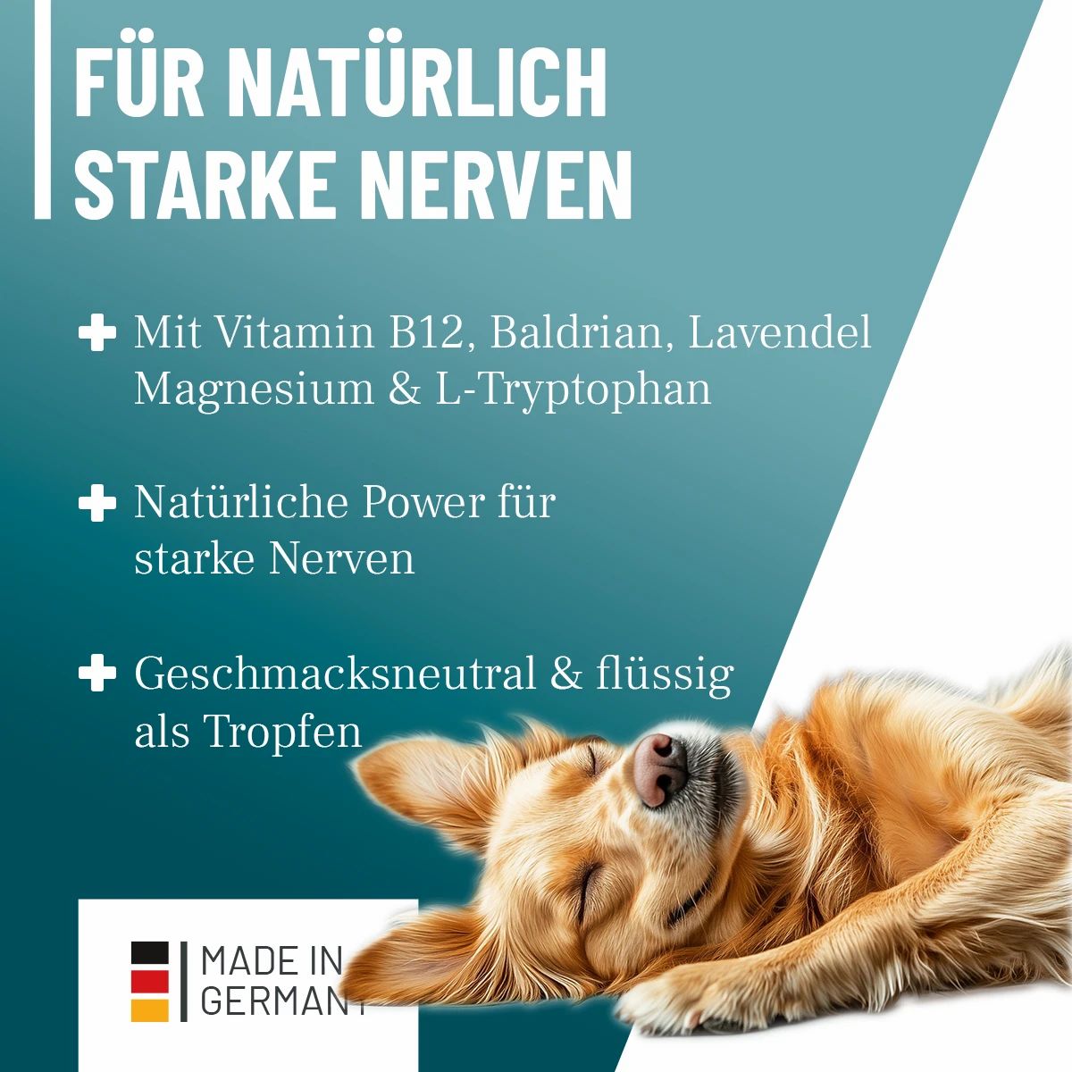 Schlafender Hund. Text: Für natürlich starke Nerven. Mit Vitamin B12, Baldrian, Lavendel & Magnesium. Geschmacksneutral & flüssig.