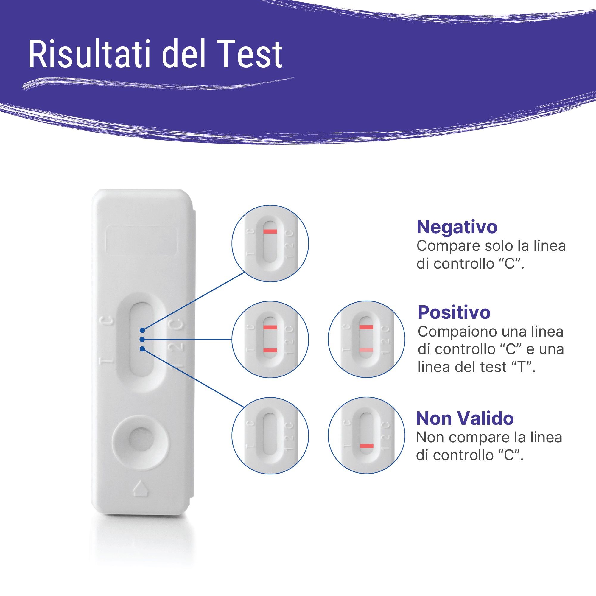 Istruzioni passo-passo per eseguire il test TSH Patris Health®. Sei illustrazioni numerate.