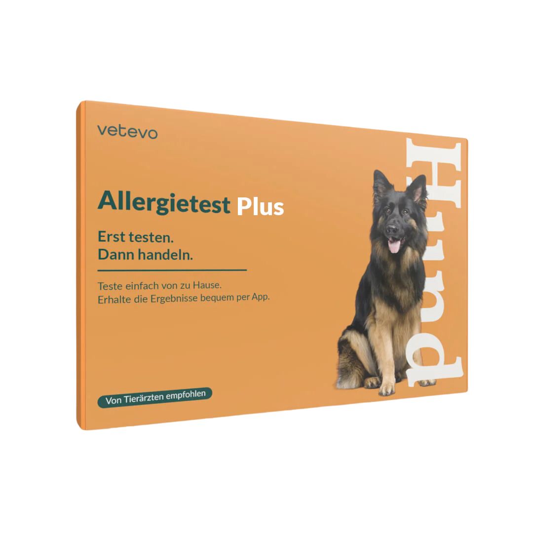 Allergietest Plus Hund