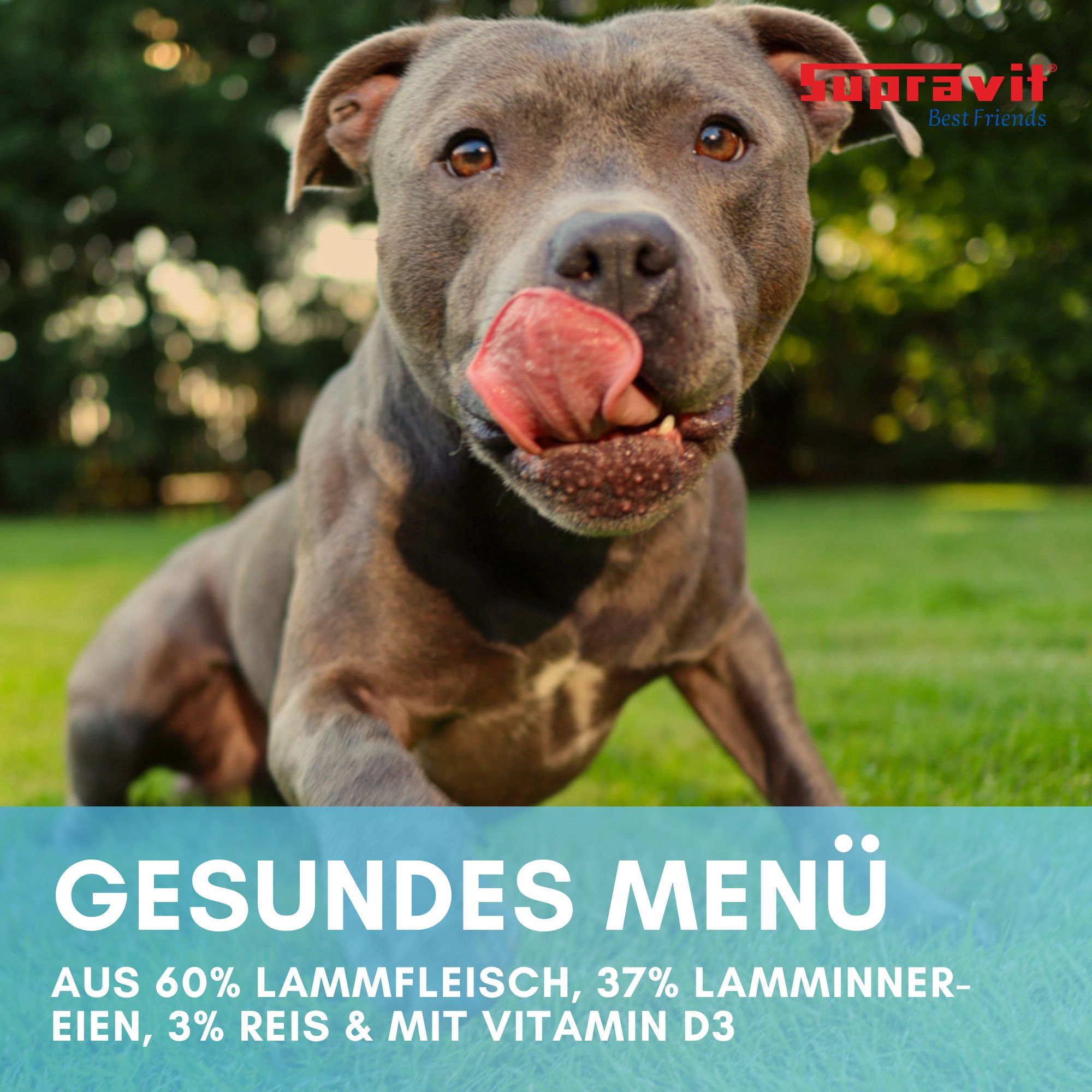 Hund leckt sich die Lippen. Text: Gesundes Menü. Aus 60% Lammfleisch, 37% Lammnerien, 3% Reis & mit Vitamin D3. Marke: Supravit.