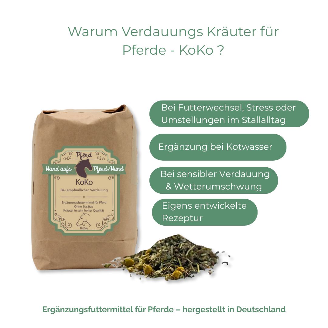 Braune Papiertüte mit Produktetikett. Text: Hand aufs Pferd/Hund, Koko. Grünliche Kräutermischung daneben. Textblöcke mit Anwendungsbereichen.