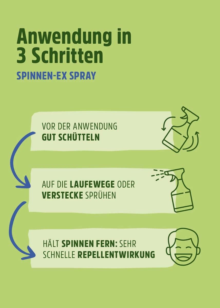 Anti Spinnenspray | Spinnen-Ex - Effektive Abwehr