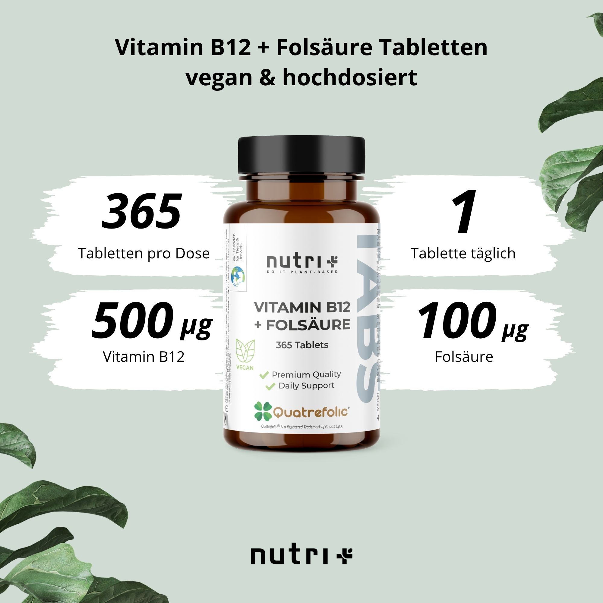Braune Flasche mit schwarzem Deckel. Aufschrift: nutri+ Vitamin B12 + Folsäure, 365 Tabletten. Angaben zu Dosierung und Inhaltsstoffen.