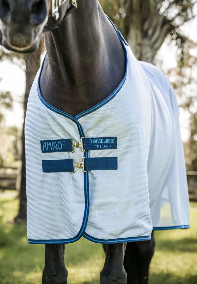 Nahaufnahme einer hellblauen Pferdedecke mit dunkelblauen Rändern und Verschlüssen. Aufschrift AMIGO und Horseware Ireland.