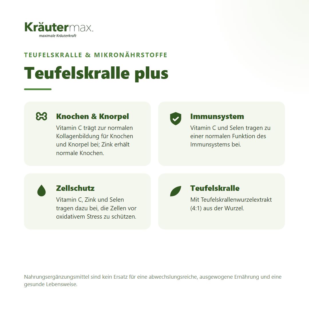 Vier Kacheln mit Symbolen und Texten zu Knochen, Immunsystem, Zellschutz und Teufelskralle.