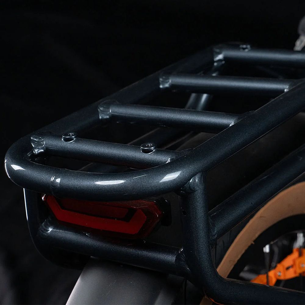 Gepäckträger und Rücklicht eines E-Bikes. Rücklicht rot, rechteckig.