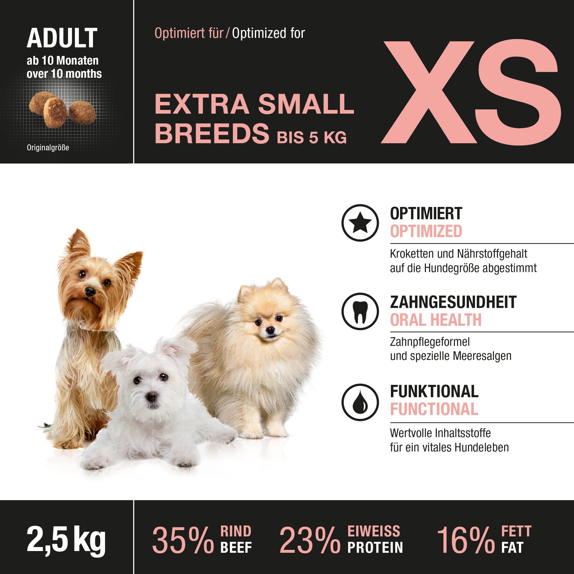 Drei kleine Hunde: Yorkshire Terrier, Malteser, Zwergspitz. Hundefutter für XS Rassen.