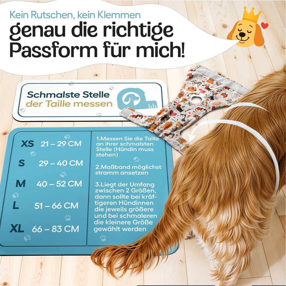 Hündchen mit Windel. Text: XS-XL, Taillenumfang in cm. Anleitung zur Messung der Taille. Größenangaben.