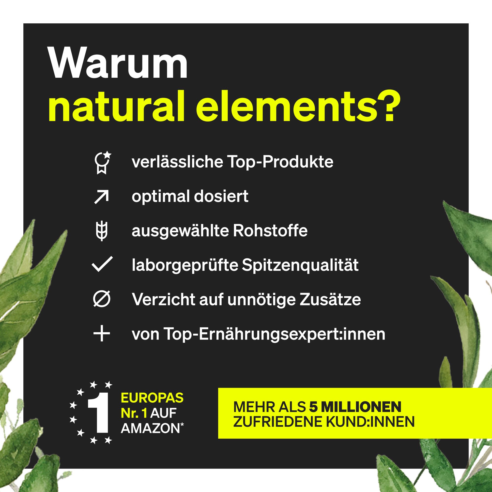 Flasche Magnesium L-Threonat (Magtein) mit 90 Kapseln, umgeben von grünen Blättern.