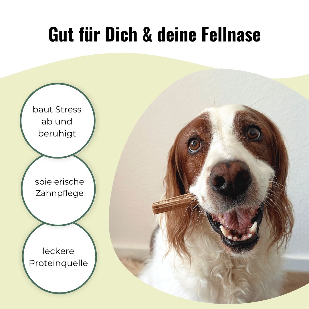 Hundefutter: Ochsenziemer, 5 Stück in Packung, mit Kauartikeln daneben.