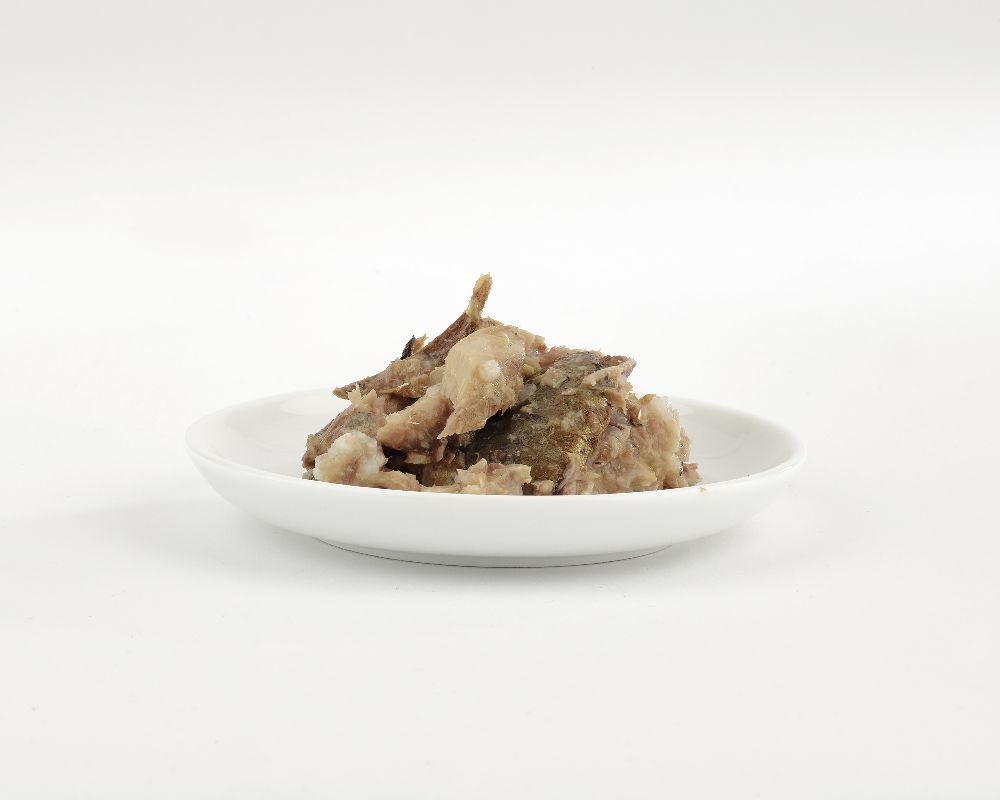 Portion Fish4Cats Finest Sardine mit Makrele auf weißem Teller. Fischstücke. Fischfleisch und Gräten sichtbar.