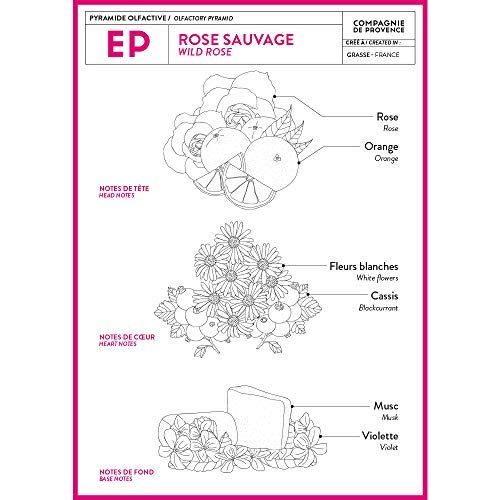 Grafik mit Duftnoten: Rose, Orange, weiße Blumen, Cassis, Moschus, Veilchen. Text: Rose Sauvage Wild Rose, Compagnie de Provence.
