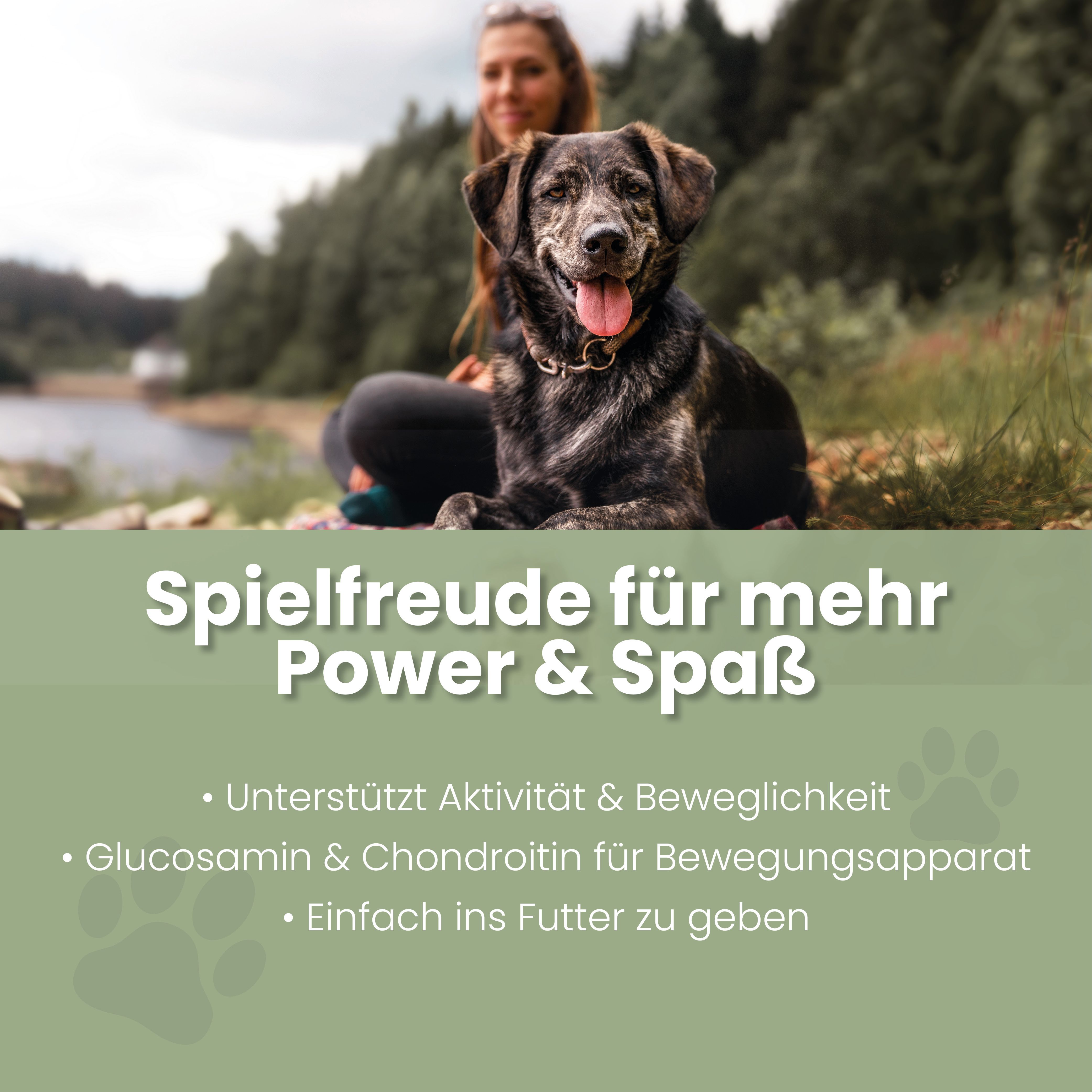 Text mit "Spielfreude für mehr Power & Spaß". Untertitel: Unterstützt Aktivität & Beweglichkeit, Glucosamin & Chondroitin, Einfach ins Futter zu geben.