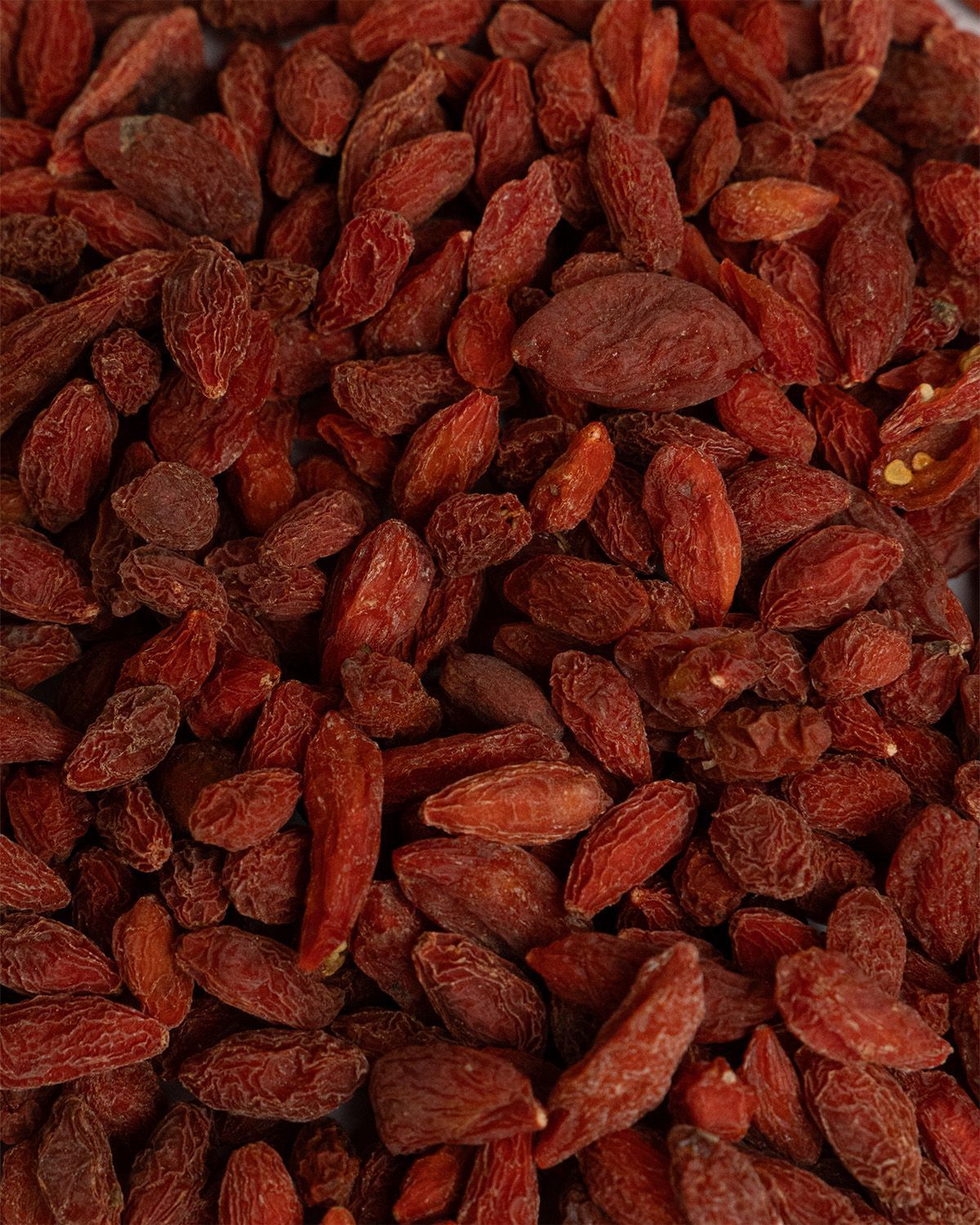 Nahaufnahme von getrockneten Gojibeeren. Rote, längliche Beeren. Detailansicht.