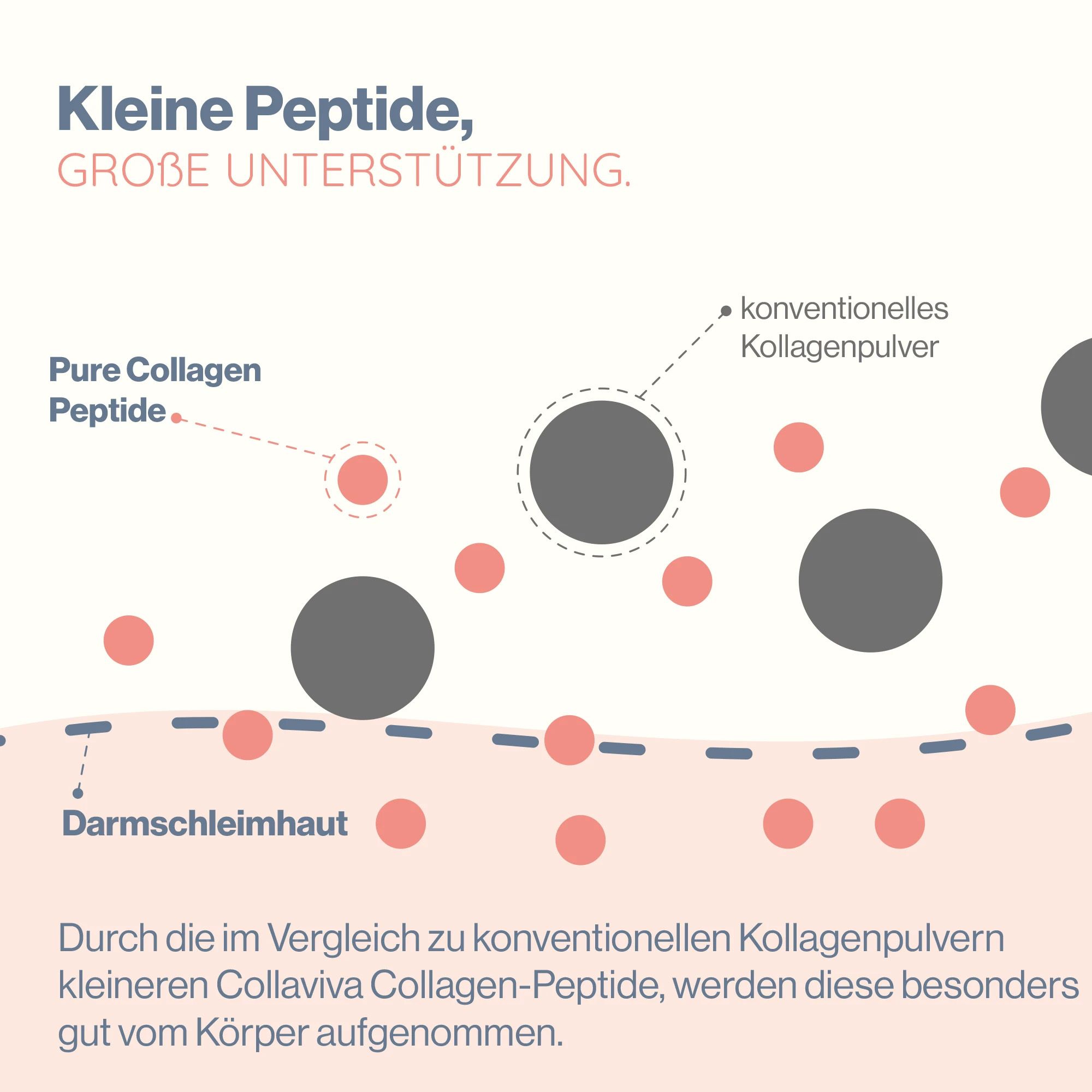 Collaviva Pure Kollagen - Das Original