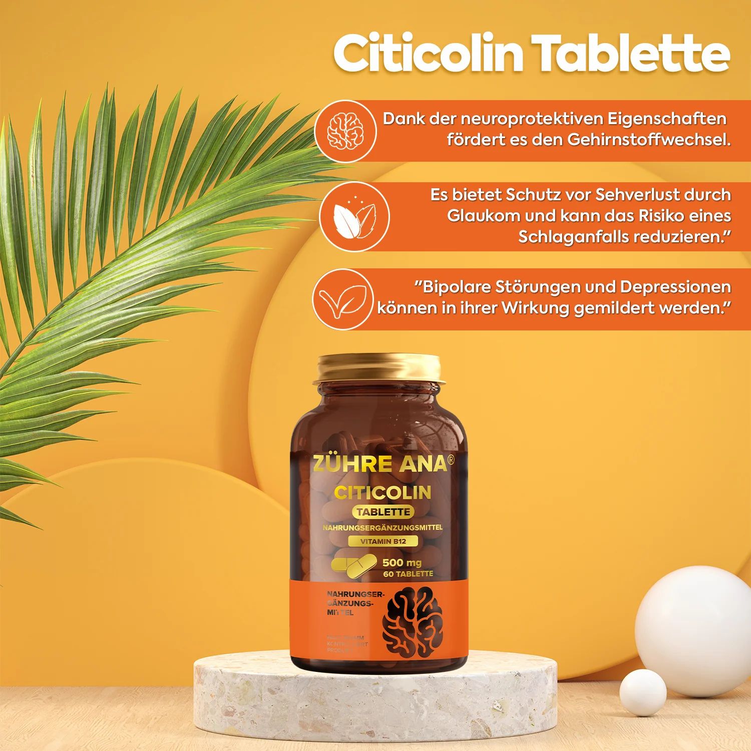 Zühre Ana | Citicolin (500 mg)