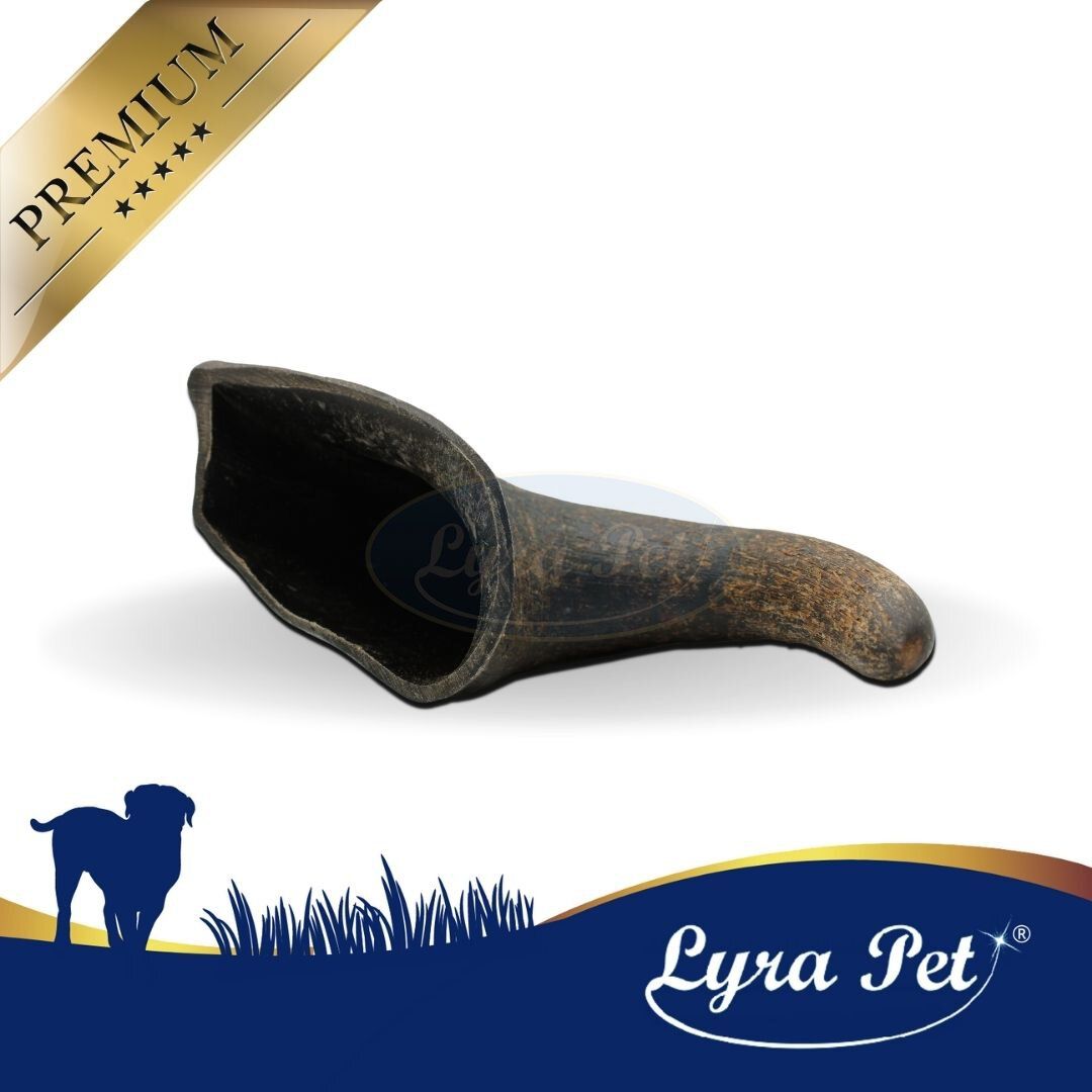 Lyra Pet Büffelhorn klein. Dunkelbraunes Horn, auf weißem Hintergrund. Produktname und Logo sichtbar. Premium-Label.