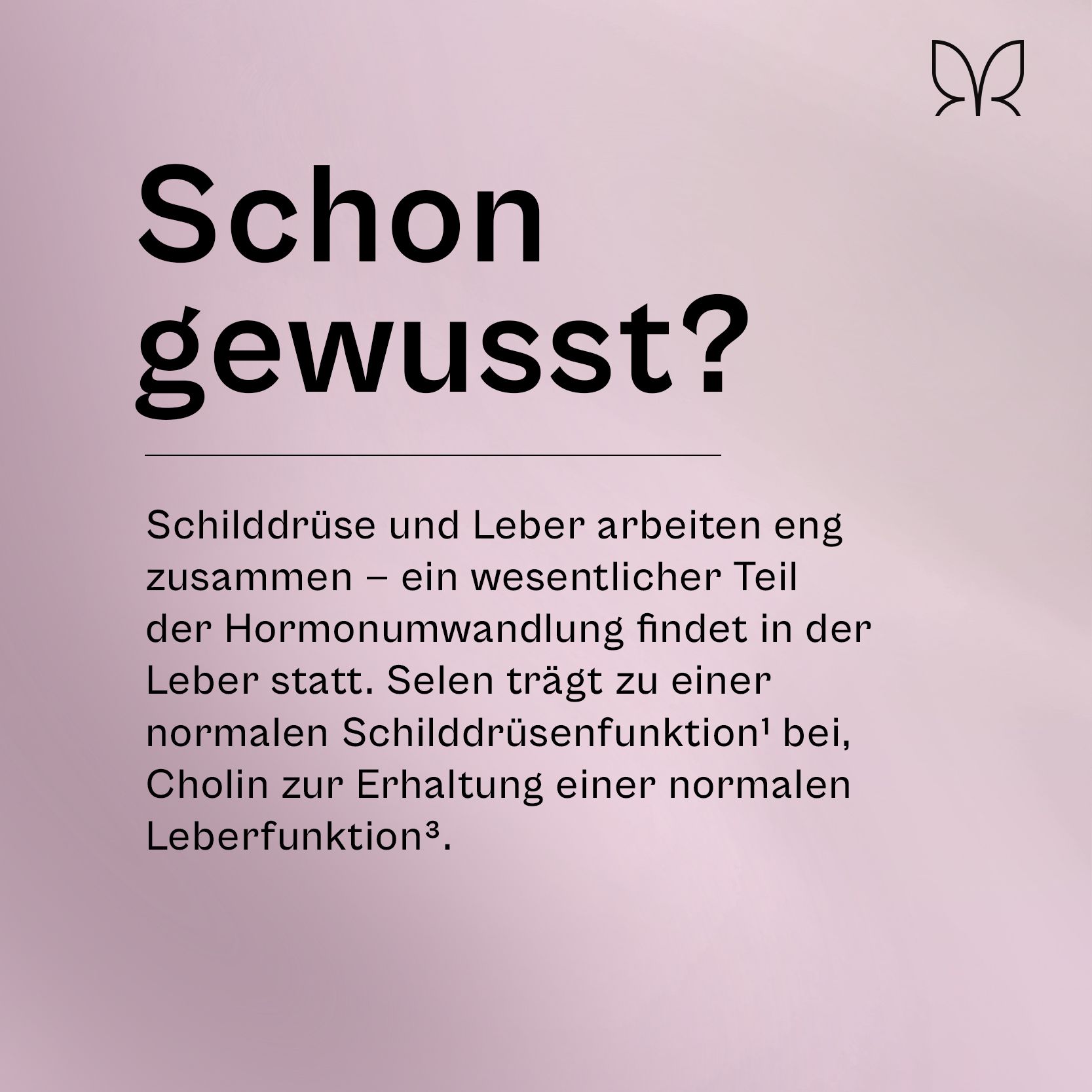 Der Umwandler® Leber-Komplex von miavola