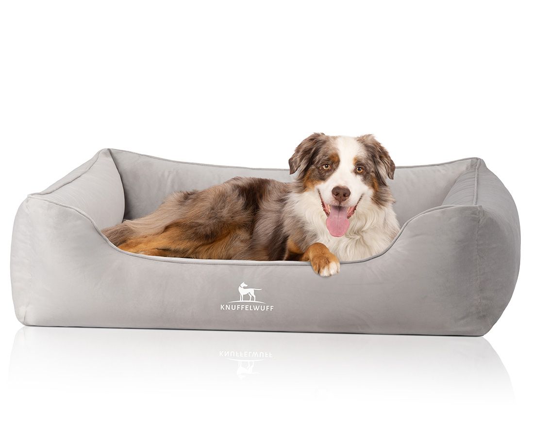 Hund liegt in grauem orthopädischen Hundebett. Logo unten rechts. Hund mit braun-weißem Fell, Zunge draußen.
