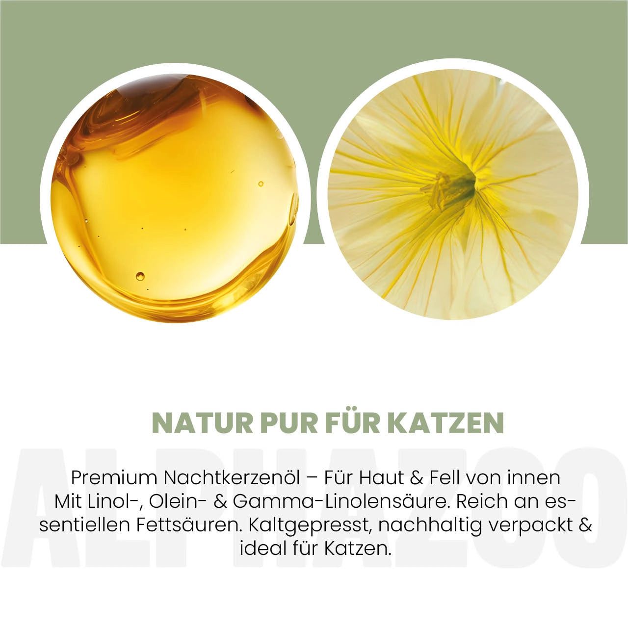Zwei Kreise: Öl und Blüte. Text: Natur pur für Katzen. Premium Nachtkerzenöl. Reich an essentiellen Fettsäuren. Kaltgepresst, nachhaltig verpackt.