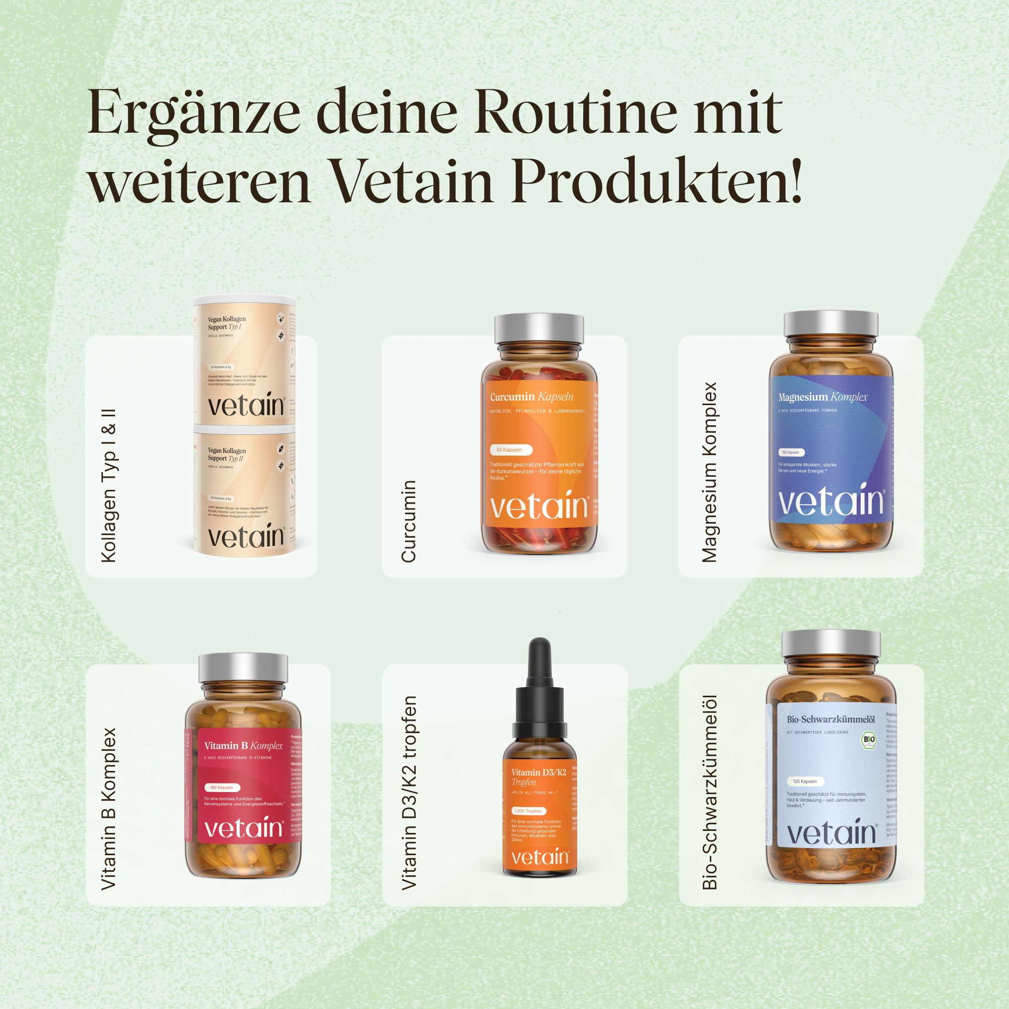 Sechs VETAIN-Produkte: Kollagen, Curcumin, Magnesium, Vitamin B, Vitamin D3/K2, Bio-Schwarzkümmelöl. Alle in braunen Flaschen mit weißem Etikett.