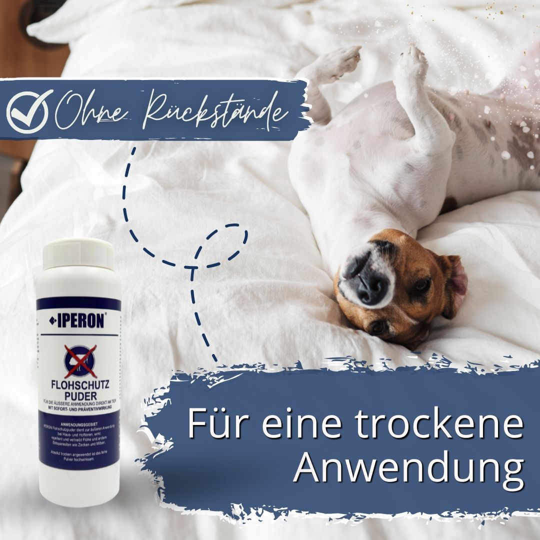 IPERON® Flohschutz Trio - Lotion, Shampoo & Puder im Set