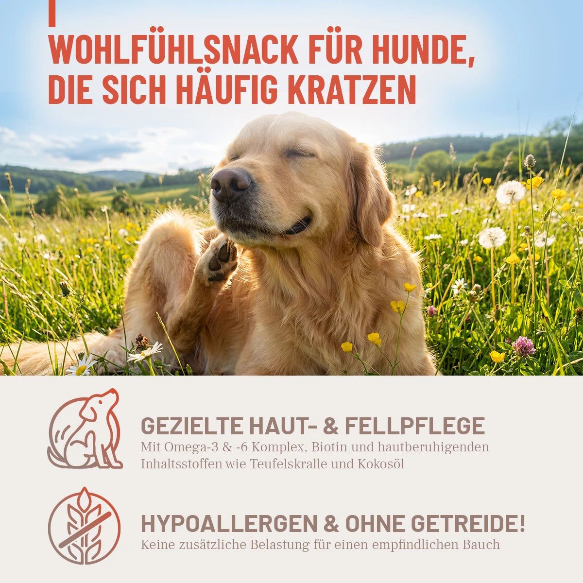 Hund im Gras kratzt sich. Text: Gezielte Haut- & Fellpflege, mit Omega-3 & -6, Biotin und Inhaltsstoffen wie Teufelskralle & Kokosöl. Hypoallergen & ohne Getreide.