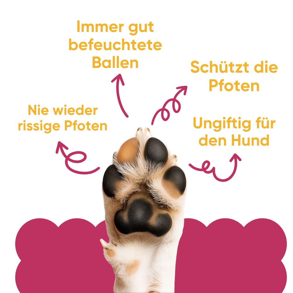 Eine Hundepfote mit Pfeilen, die auf die Vorteile von gut befeuchteten, geschützten und ungiftigen Pfoten hinweisen.