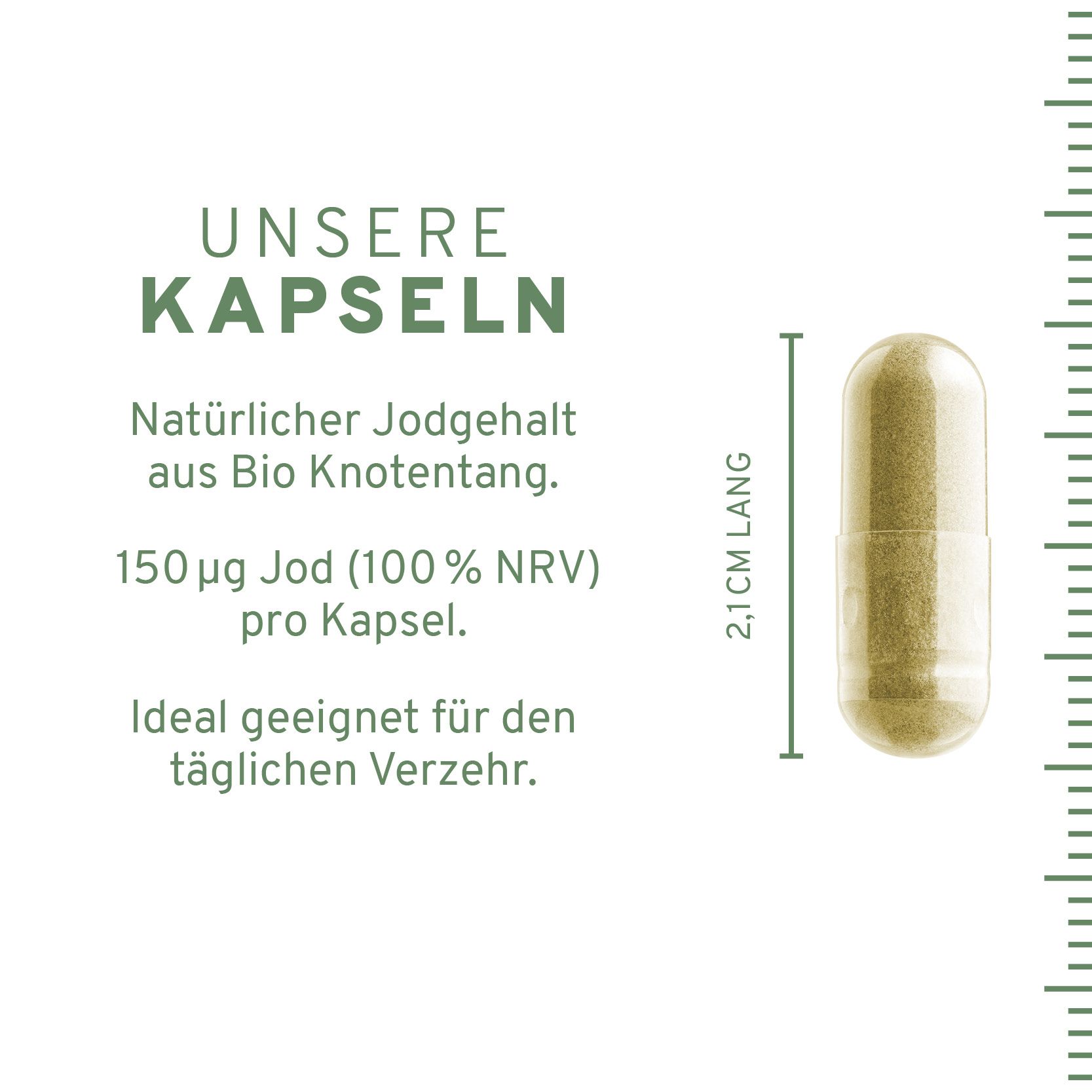 InnoNature Bio Jod Kapseln | natürlich aus Knotentang | vegan