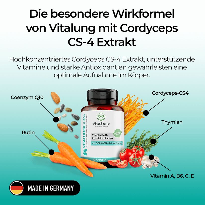 Produktabbildung mit Zutaten: Cordyceps, Thymian, Karotten, Tomaten, Mandeln. Flasche mit VitaSeno-Kapseln. Text: Made in Germany.