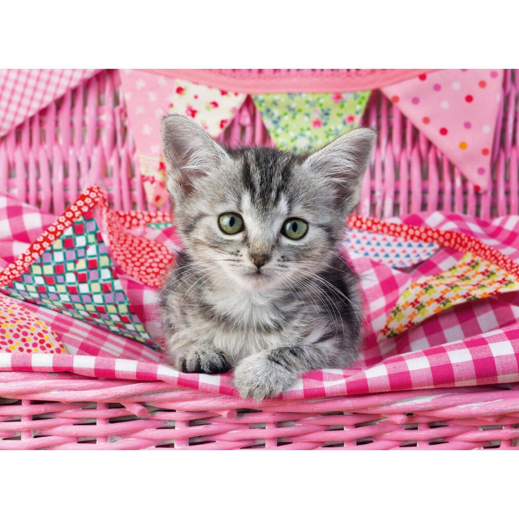 ravensburger Puzzle Niedliches kätzchen xxl 100 Teile