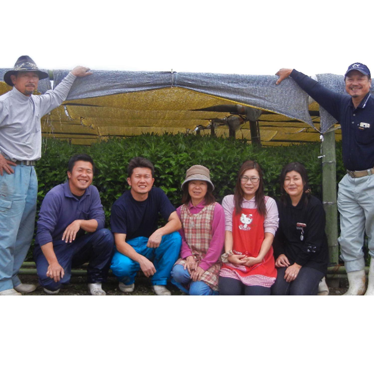 tea exclusive - Gyokuro Sae Jap. Grüner Tee bio