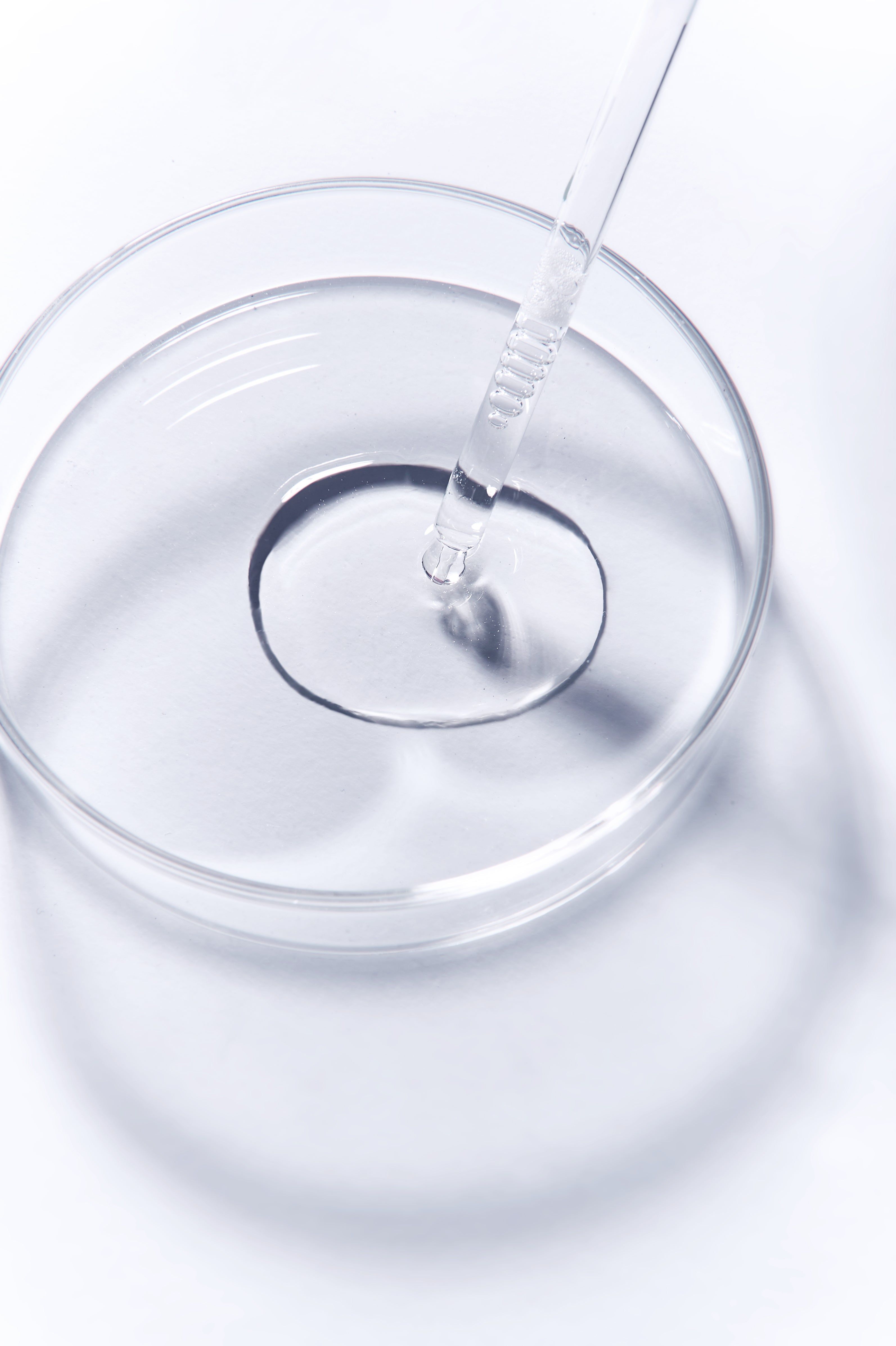 Eine Pipette tropft Flüssigkeit in eine runde, transparente Schale.