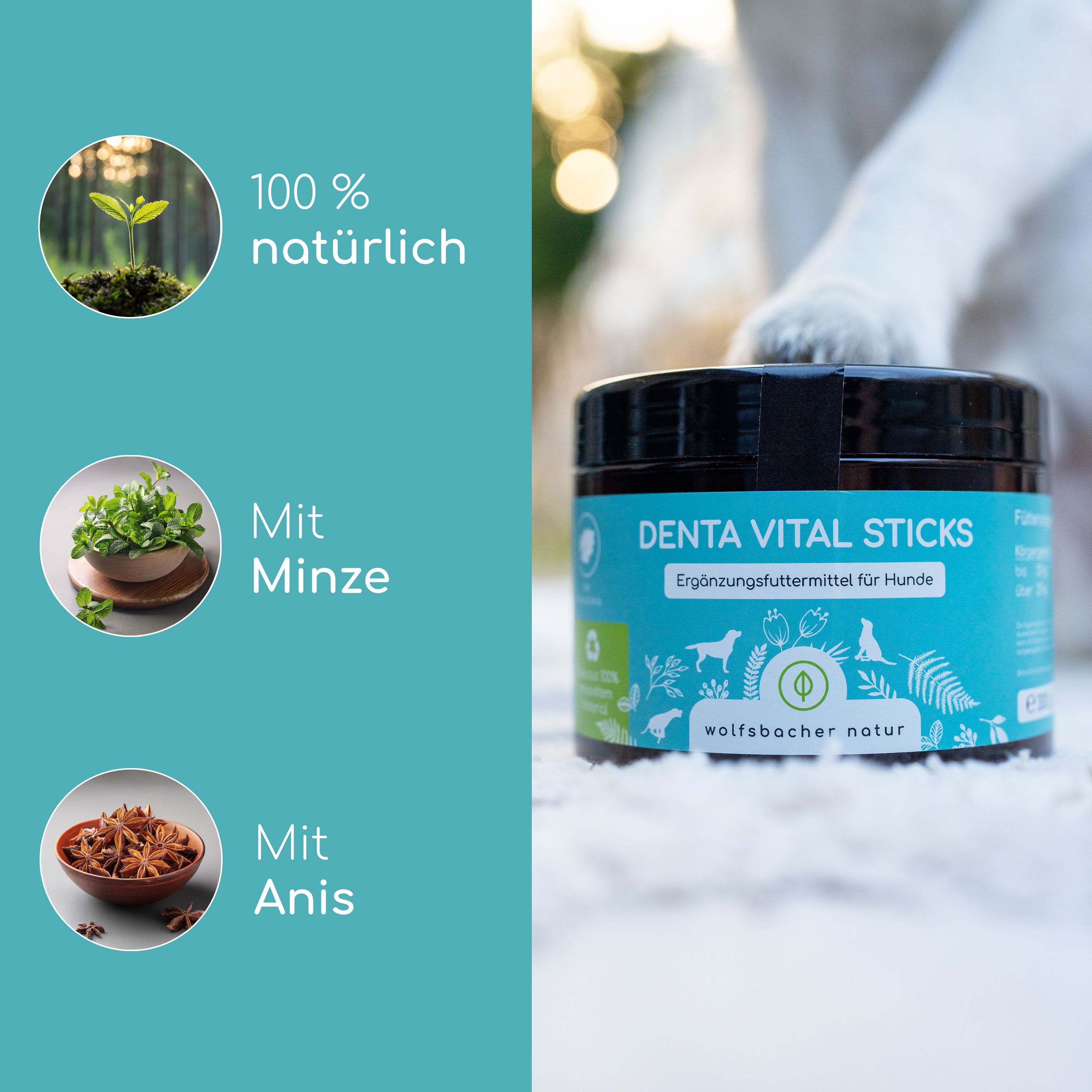 Nahaufnahme einer Dose "Denta Vital Sticks" neben Illustrationen. Auf der Dose steht "wolfsbacher natur".