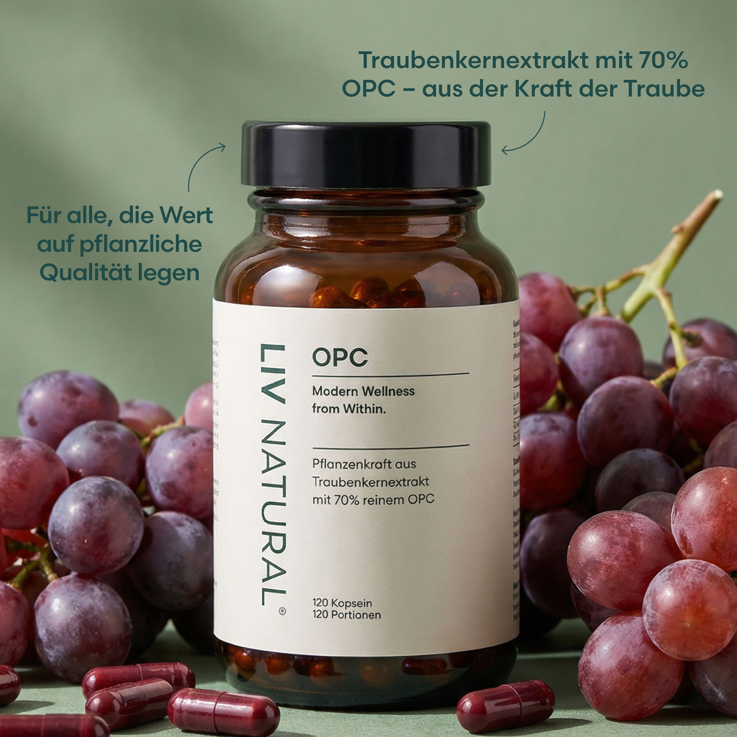 Braune Glasflasche mit schwarzen Deckel, Etikett mit "OPC" und "LIV NATURAL". Daneben Trauben und Kapseln.