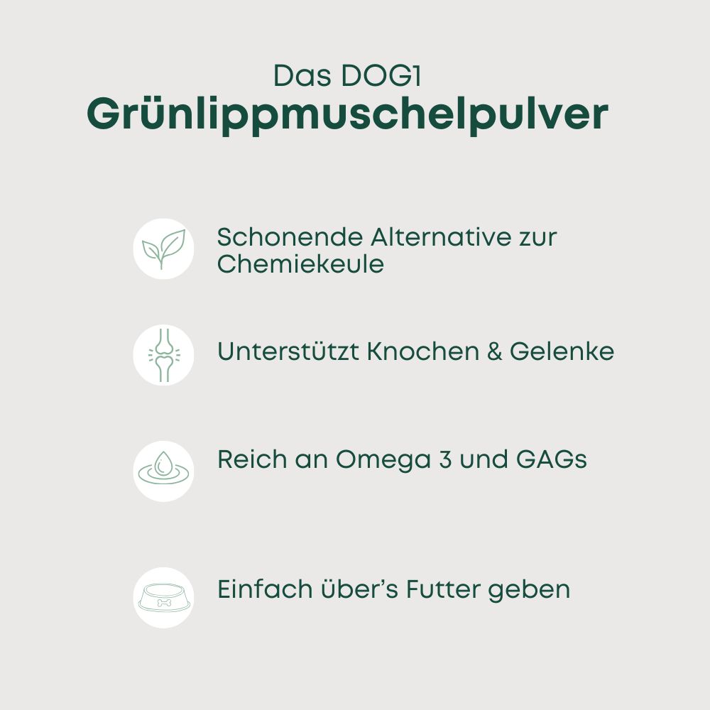 DOG1 Grünlippmuschelpulver Vollfett für Hunde