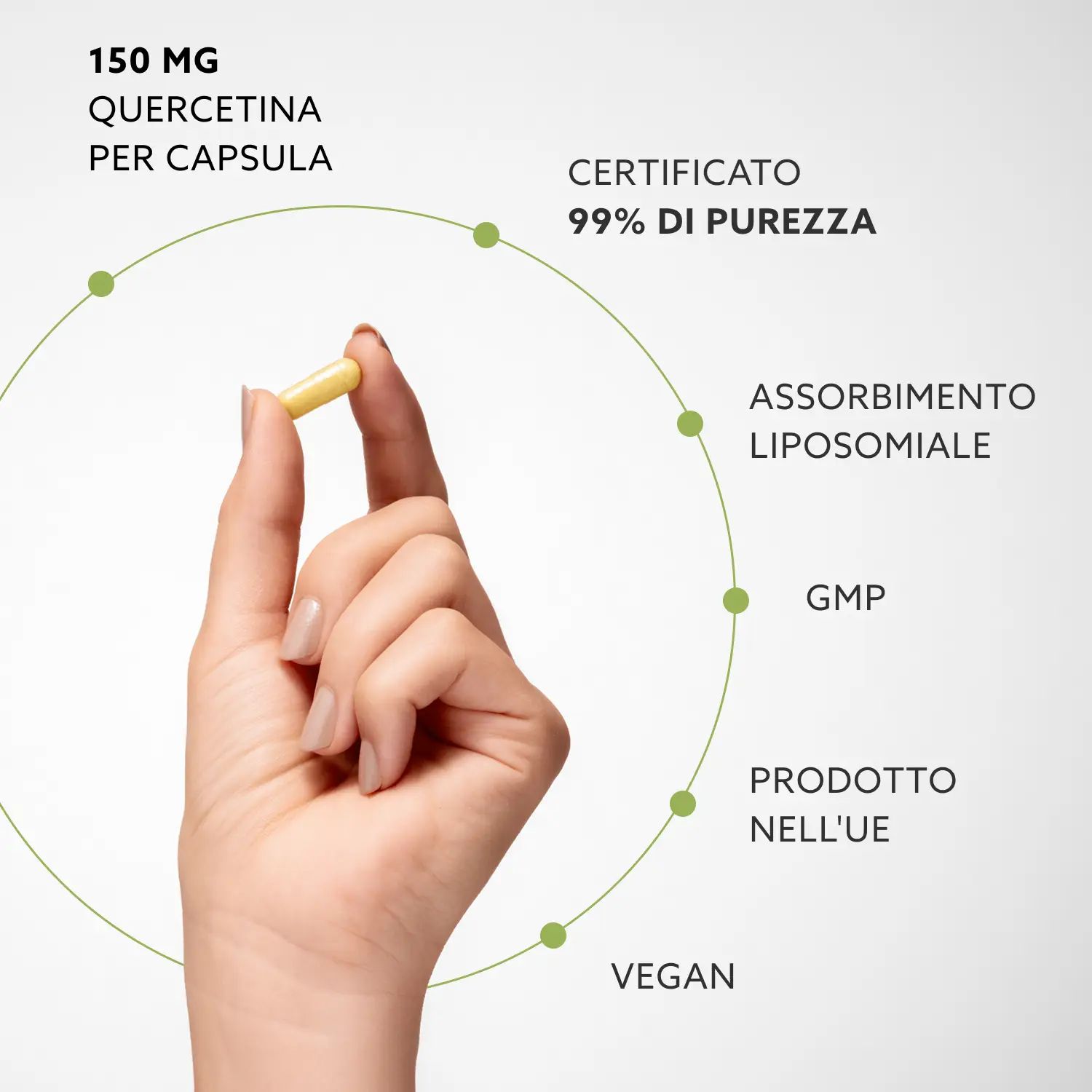 Purovitalis Liposomales Quercetin mit Vitamin C, Zink & Bromelain – 150 mg pro Kapsel